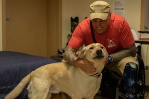 America's Vet Dogs: Canine Heroes My Caring Dog – Tips, Stories, and Care Guides for Loving Pet Owners America's Vet Dogs: Canine Heroes | My Caring Dog – Tips, Stories, and Care Guides for Loving Pet Owners