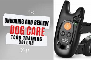 Safe & Effective Dog Training Collar Guide My Caring Dog – Tips, Stories, and Care Guides for Loving Pet Owners Safe & Effective Dog Training Collar Guide | My Caring Dog – Tips, Stories, and Care Guides for Loving Pet Owners