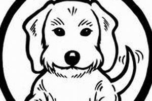 Best Dog Day Care in Citrus Heights, CA | Top Rated My Caring Dog – Tips, Stories, and Care Guides for Loving Pet Owners Best Dog Day Care in Citrus Heights, CA | Top Rated | My Caring Dog – Tips, Stories, and Care Guides for Loving Pet Owners