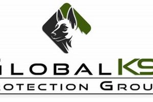 Top Global K9 Protection Group Reviews & Ratings My Caring Dog – Tips, Stories, and Care Guides for Loving Pet Owners Top Global K9 Protection Group Reviews & Ratings | My Caring Dog – Tips, Stories, and Care Guides for Loving Pet Owners