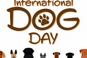 Best Dog Day Care in Baton Rouge, LA My Caring Dog – Tips, Stories, and Care Guides for Loving Pet Owners Best Dog Day Care in Baton Rouge, LA | My Caring Dog – Tips, Stories, and Care Guides for Loving Pet Owners