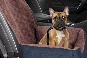 Best Car Seats for Medium-Sized Dogs: Safe & Comfy My Caring Dog – Tips, Stories, and Care Guides for Loving Pet Owners Best Car Seats for Medium-Sized Dogs: Safe & Comfy | My Caring Dog – Tips, Stories, and Care Guides for Loving Pet Owners