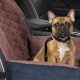 Best Car Seats for Medium-Sized Dogs: Safe & Comfy | My Caring Dog – Tips, Stories, and Care Guides for Loving Pet Owners
