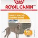 Best Royal Canin Skin Care Dog Food Guide | My Caring Dog – Tips, Stories, and Care Guides for Loving Pet Owners