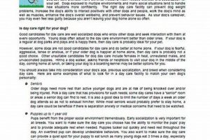 Complete Dog Care Business Plan Guide My Caring Dog – Tips, Stories, and Care Guides for Loving Pet Owners Complete Dog Care Business Plan Guide | My Caring Dog – Tips, Stories, and Care Guides for Loving Pet Owners