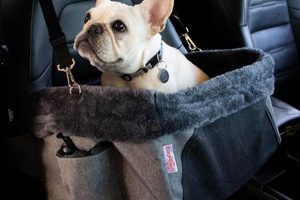 Best Car Seats for Small Dogs: Top Picks & Guide My Caring Dog – Tips, Stories, and Care Guides for Loving Pet Owners Best Car Seats for Small Dogs: Top Picks & Guide | My Caring Dog – Tips, Stories, and Care Guides for Loving Pet Owners
