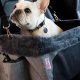 Best Car Seats for Small Dogs: Top Picks & Guide | My Caring Dog – Tips, Stories, and Care Guides for Loving Pet Owners