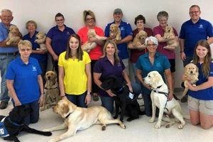 Best Service Dogs Inc: Training & Support My Caring Dog – Tips, Stories, and Care Guides for Loving Pet Owners Best Service Dogs Inc: Training & Support | My Caring Dog – Tips, Stories, and Care Guides for Loving Pet Owners