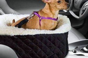 Top Small Dog Car Seats: Safe & Comfy Rides My Caring Dog – Tips, Stories, and Care Guides for Loving Pet Owners Top Small Dog Car Seats: Safe & Comfy Rides | My Caring Dog – Tips, Stories, and Care Guides for Loving Pet Owners