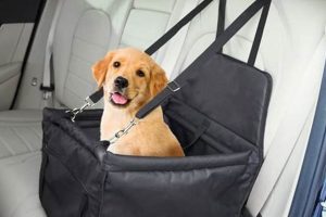Best Nuna Dog Car Seats: Safe & Secure Travel My Caring Dog – Tips, Stories, and Care Guides for Loving Pet Owners Best Nuna Dog Car Seats: Safe & Secure Travel | My Caring Dog – Tips, Stories, and Care Guides for Loving Pet Owners