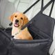 Best Nuna Dog Car Seats: Safe & Secure Travel | My Caring Dog – Tips, Stories, and Care Guides for Loving Pet Owners