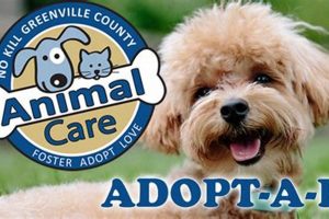 Adopt, Don't Shop: Greenville County Dogs My Caring Dog – Tips, Stories, and Care Guides for Loving Pet Owners Adopt, Don't Shop: Greenville County Dogs | My Caring Dog – Tips, Stories, and Care Guides for Loving Pet Owners