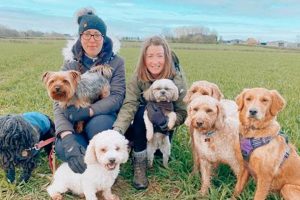 Best Dog Day Care in Coventry | Top Kennels My Caring Dog – Tips, Stories, and Care Guides for Loving Pet Owners Best Dog Day Care in Coventry | Top Kennels | My Caring Dog – Tips, Stories, and Care Guides for Loving Pet Owners