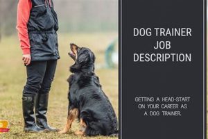 Become a Dog Trainer: Career Guide & Info My Caring Dog – Tips, Stories, and Care Guides for Loving Pet Owners Become a Dog Trainer: Career Guide & Info | My Caring Dog – Tips, Stories, and Care Guides for Loving Pet Owners