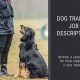 Become a Dog Trainer: Career Guide & Info | My Caring Dog – Tips, Stories, and Care Guides for Loving Pet Owners