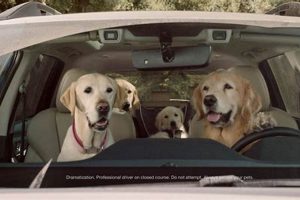 Car Ad With Dogs My Caring Dog – Tips, Stories, and Care Guides for Loving Pet Owners Car Ad With Dogs | My Caring Dog – Tips, Stories, and Care Guides for Loving Pet Owners