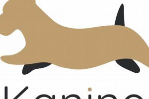 Top Kanine Dog Accessories for Car Travel My Caring Dog – Tips, Stories, and Care Guides for Loving Pet Owners Top Kanine Dog Accessories for Car Travel | My Caring Dog – Tips, Stories, and Care Guides for Loving Pet Owners