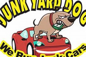 Top Dollar For Junk Cars | Junkyard Dog My Caring Dog – Tips, Stories, and Care Guides for Loving Pet Owners Top Dollar For Junk Cars | Junkyard Dog | My Caring Dog – Tips, Stories, and Care Guides for Loving Pet Owners