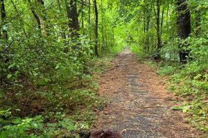 Top Dog Care Tips in Randolph, Maine My Caring Dog – Tips, Stories, and Care Guides for Loving Pet Owners Top Dog Care Tips in Randolph, Maine | My Caring Dog – Tips, Stories, and Care Guides for Loving Pet Owners