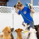 Best Dog Day Care in Encinitas, CA: Top Picks | My Caring Dog – Tips, Stories, and Care Guides for Loving Pet Owners