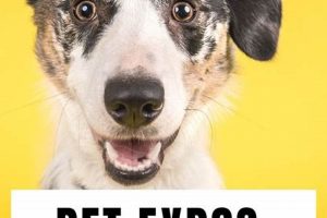Find Free Dog Events Near You Today! My Caring Dog – Tips, Stories, and Care Guides for Loving Pet Owners Find Free Dog Events Near You Today! | My Caring Dog – Tips, Stories, and Care Guides for Loving Pet Owners