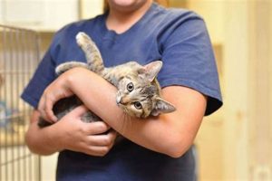Best Animal Care Shelter | Adoption & Rescue My Caring Dog – Tips, Stories, and Care Guides for Loving Pet Owners Best Animal Care Shelter | Adoption & Rescue | My Caring Dog – Tips, Stories, and Care Guides for Loving Pet Owners