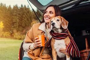 Dog-Friendly Hire Cars: Rules & Tips My Caring Dog – Tips, Stories, and Care Guides for Loving Pet Owners Dog-Friendly Hire Cars: Rules & Tips | My Caring Dog – Tips, Stories, and Care Guides for Loving Pet Owners