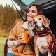 Dog-Friendly Hire Cars: Rules & Tips | My Caring Dog – Tips, Stories, and Care Guides for Loving Pet Owners