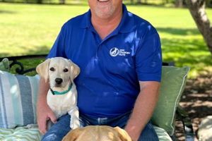 Local Dog Trainers In My Area My Caring Dog – Tips, Stories, and Care Guides for Loving Pet Owners Local Dog Trainers In My Area | My Caring Dog – Tips, Stories, and Care Guides for Loving Pet Owners