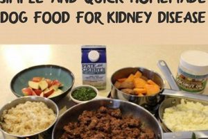 Best Homemade Dog Food Recipes for Kidney Care | My Caring Dog – Tips, Stories, and Care Guides for Loving Pet Owners