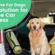 Best Dog Car Sick Solutions &amp; Remedies | My Caring Dog – Tips, Stories, and Care Guides for Loving Pet Owners