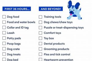 Ultimate Car Dog Checklist: Essentials & Tips | My Caring Dog – Tips, Stories, and Care Guides for Loving Pet Owners