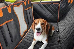 Best Rear Car Seat Hammocks For Dogs: Top Picks My Caring Dog – Tips, Stories, and Care Guides for Loving Pet Owners Best Rear Car Seat Hammocks For Dogs: Top Picks | My Caring Dog – Tips, Stories, and Care Guides for Loving Pet Owners