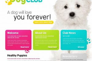 Top Dog Websites for Car Travel Safety | My Caring Dog – Tips, Stories, and Care Guides for Loving Pet Owners