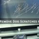 Remove Dog Scratches From Car: DIY Guide | My Caring Dog – Tips, Stories, and Care Guides for Loving Pet Owners