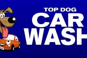 Top Dog Car Wash Hours | My Caring Dog – Tips, Stories, and Care Guides for Loving Pet Owners