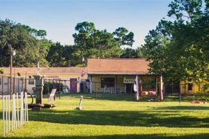 Top Dog Day Care in Vero Beach, FL My Caring Dog – Tips, Stories, and Care Guides for Loving Pet Owners Top Dog Day Care in Vero Beach, FL | My Caring Dog – Tips, Stories, and Care Guides for Loving Pet Owners