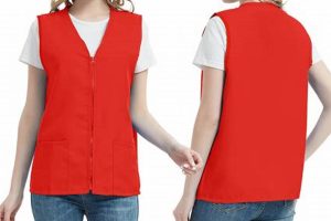 Best Volunteer Vests for Car Dog Events | My Caring Dog – Tips, Stories, and Care Guides for Loving Pet Owners
