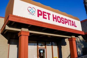 Top Mobile Dog Health Care in Citrus Heights, CA My Caring Dog – Tips, Stories, and Care Guides for Loving Pet Owners Top Mobile Dog Health Care in Citrus Heights, CA | My Caring Dog – Tips, Stories, and Care Guides for Loving Pet Owners