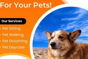 Top Dog Day Care in Columbia, MO My Caring Dog – Tips, Stories, and Care Guides for Loving Pet Owners Top Dog Day Care in Columbia, MO | My Caring Dog – Tips, Stories, and Care Guides for Loving Pet Owners