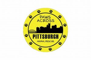 Safe Paws Across Pittsburgh Travel with Your Dog Safem Fabrication - Precision Engineering & Custom Manufacturing Solutions Safe Paws Across Pittsburgh Travel with Your Dog | Safem Fabrication - Precision Engineering & Custom Manufacturing Solutions