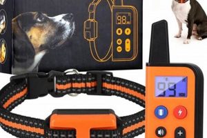 Best Dog Training Collar Remote for Effective Care My Caring Dog – Tips, Stories, and Care Guides for Loving Pet Owners Best Dog Training Collar Remote for Effective Care | My Caring Dog – Tips, Stories, and Care Guides for Loving Pet Owners