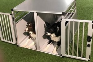 Double Dog Crate For Car My Caring Dog – Tips, Stories, and Care Guides for Loving Pet Owners Double Dog Crate For Car | My Caring Dog – Tips, Stories, and Care Guides for Loving Pet Owners