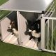 Double Dog Crate For Car | My Caring Dog – Tips, Stories, and Care Guides for Loving Pet Owners