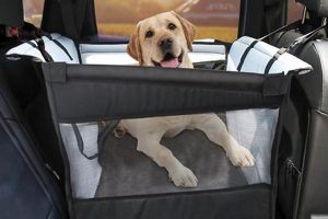 Best Dog Car Seats for Two Dogs: Safe Travels | My Caring Dog – Tips, Stories, and Care Guides for Loving Pet Owners