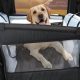 Best Dog Car Seats for Two Dogs: Safe Travels | My Caring Dog – Tips, Stories, and Care Guides for Loving Pet Owners