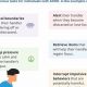 Best Service Dogs for ADHD: Ultimate Guide | My Caring Dog – Tips, Stories, and Care Guides for Loving Pet Owners