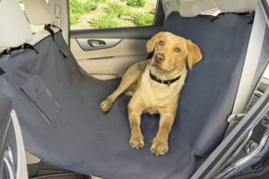 Best Dog Slings for Car Travel: Safe & Secure My Caring Dog – Tips, Stories, and Care Guides for Loving Pet Owners Best Dog Slings for Car Travel: Safe & Secure | My Caring Dog – Tips, Stories, and Care Guides for Loving Pet Owners
