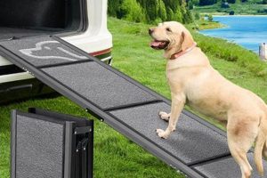 Best Dog Car Ramps for Pets at Home: A Guide My Caring Dog – Tips, Stories, and Care Guides for Loving Pet Owners Best Dog Car Ramps for Pets at Home: A Guide | My Caring Dog – Tips, Stories, and Care Guides for Loving Pet Owners