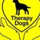 Dog Day Care Hillcrest | My Caring Dog – Tips, Stories, and Care Guides for Loving Pet Owners